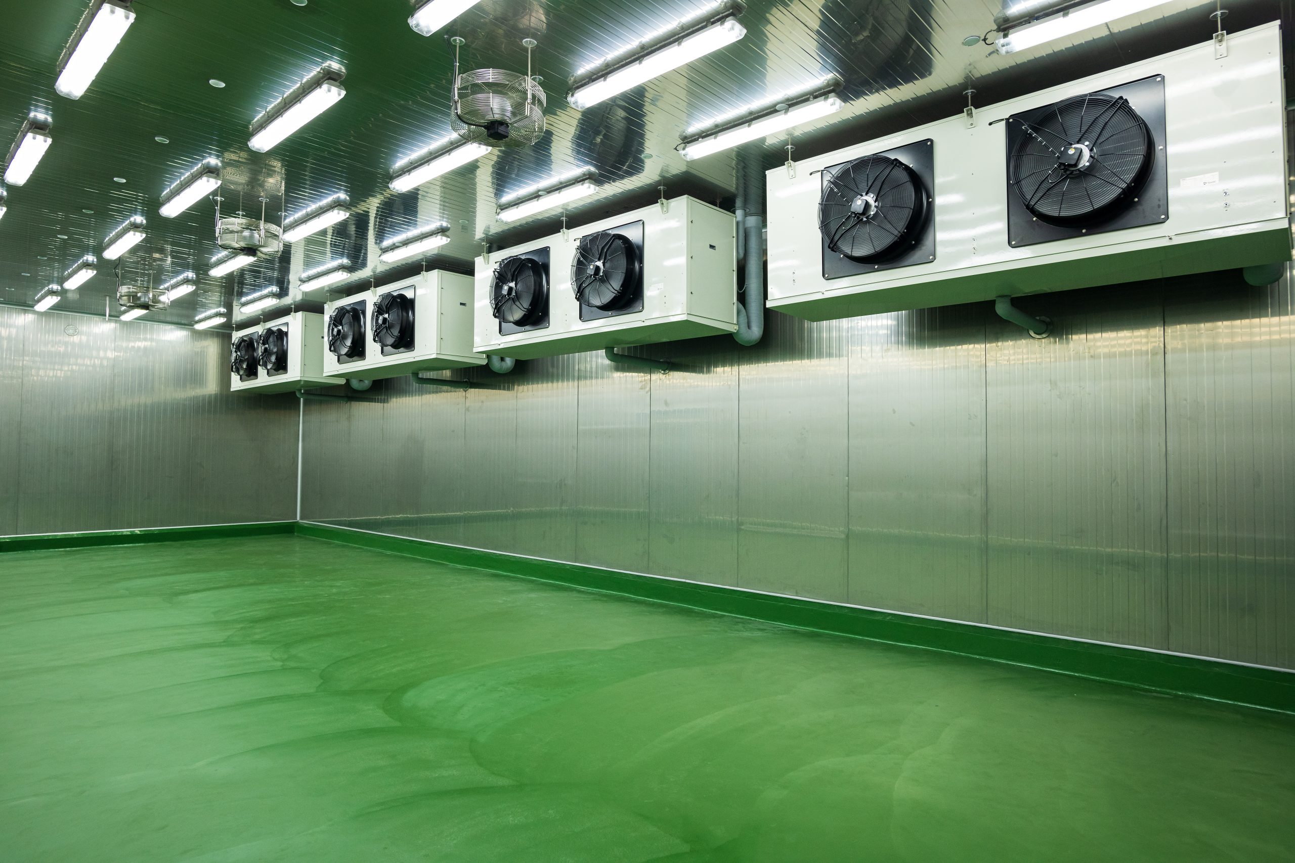 Image hover effect image